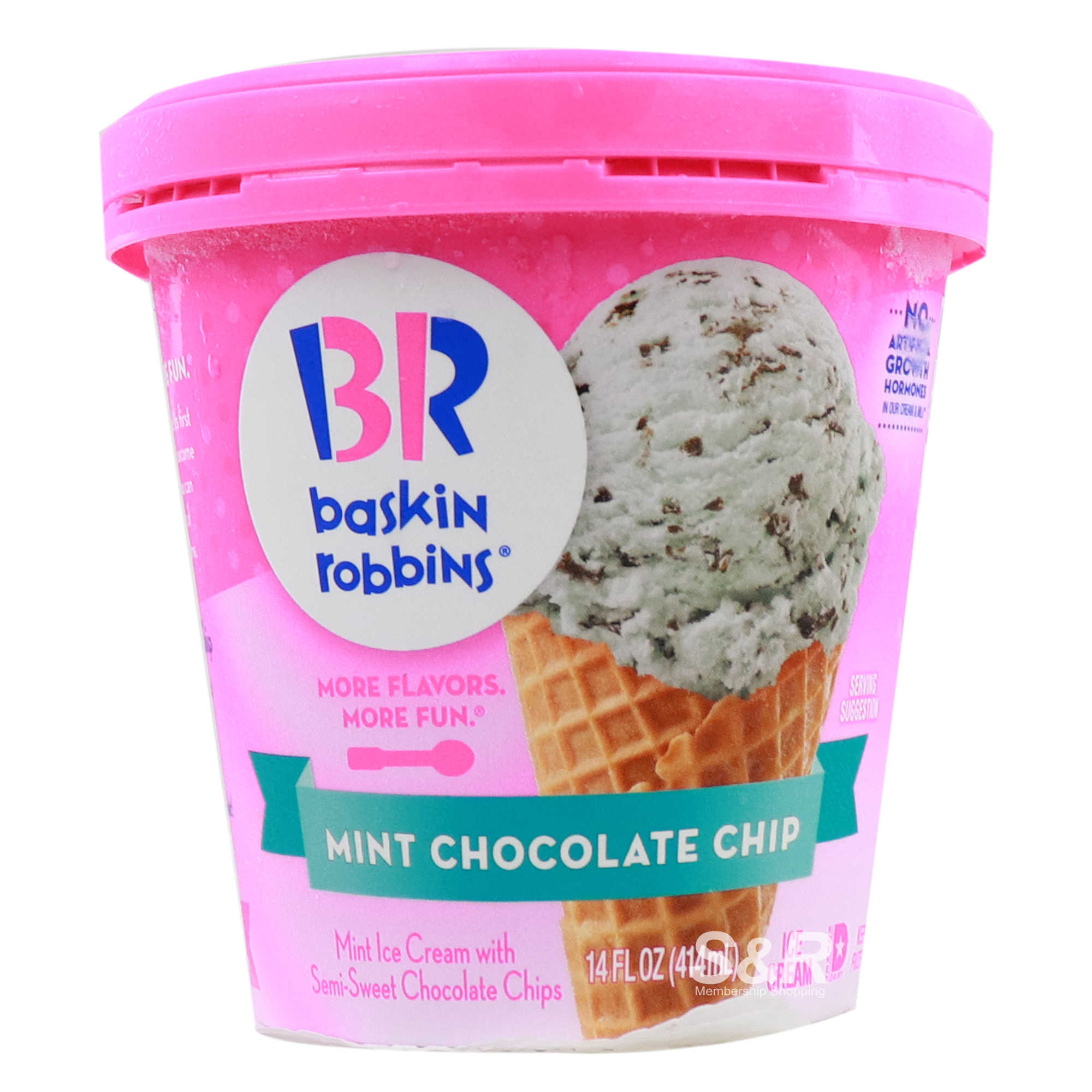 Baskin Robbins Ice Cream Mint Chocolate Chip Flavor 414mL